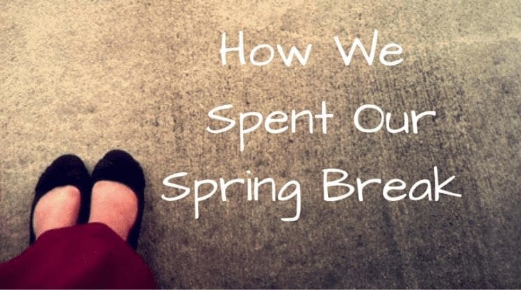 How We Spent Our Spring Break