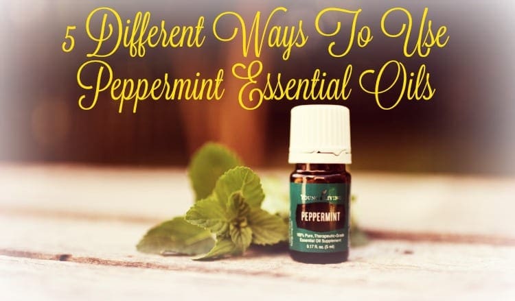 5 Different Ways To Use Peppermint Essential Oil