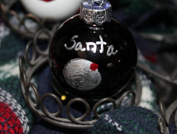 sharpie-chrismas-ornaments-santa-cam