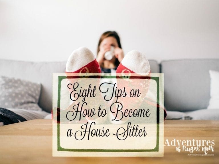 Eight Tips on How to Become a House Sitter