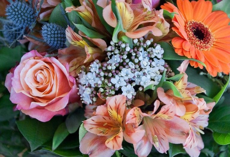 Tips To Choose The Best Online Flower Delivery Services