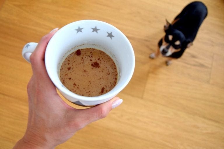 Can Your Dog Drink Coffee?