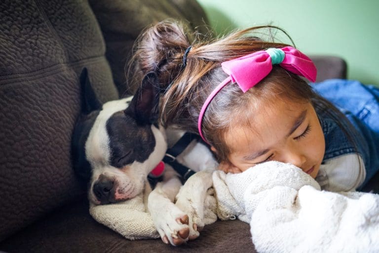 3 Reasons Why You Should Get Your Child an Emotional Support Dog