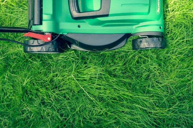 3 Tips For Mowing Your Lawn Like A Professional