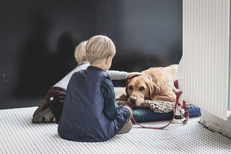 Techniques To Help Your Children Overcome Their Fear Of Dogs