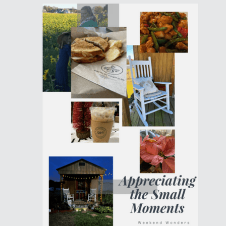 Appreciating the Small Moments { Weekend Wonders}