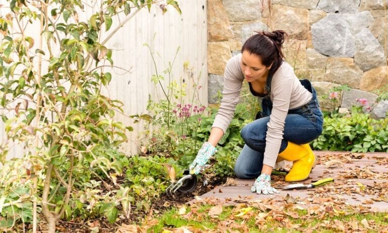 Home Landscaping Projects To Start for Spring