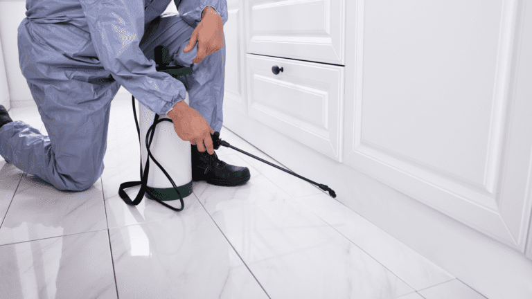 Hiring Professional Pest Control Services: What to Look For